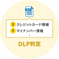 DLP判定